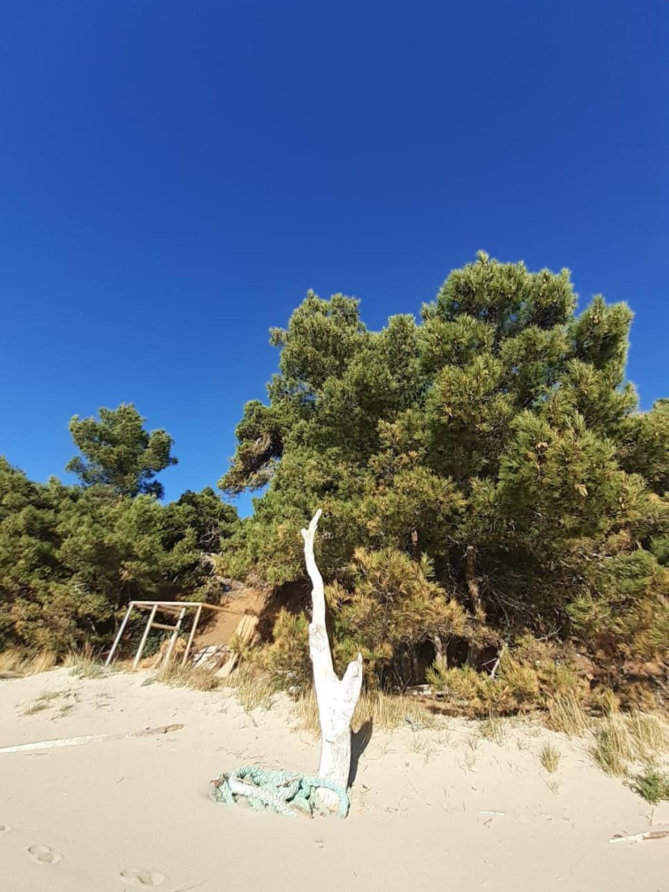 Apartment Nadine Mljet Mit Meerblick Okuklje ภายนอก รูปภาพ