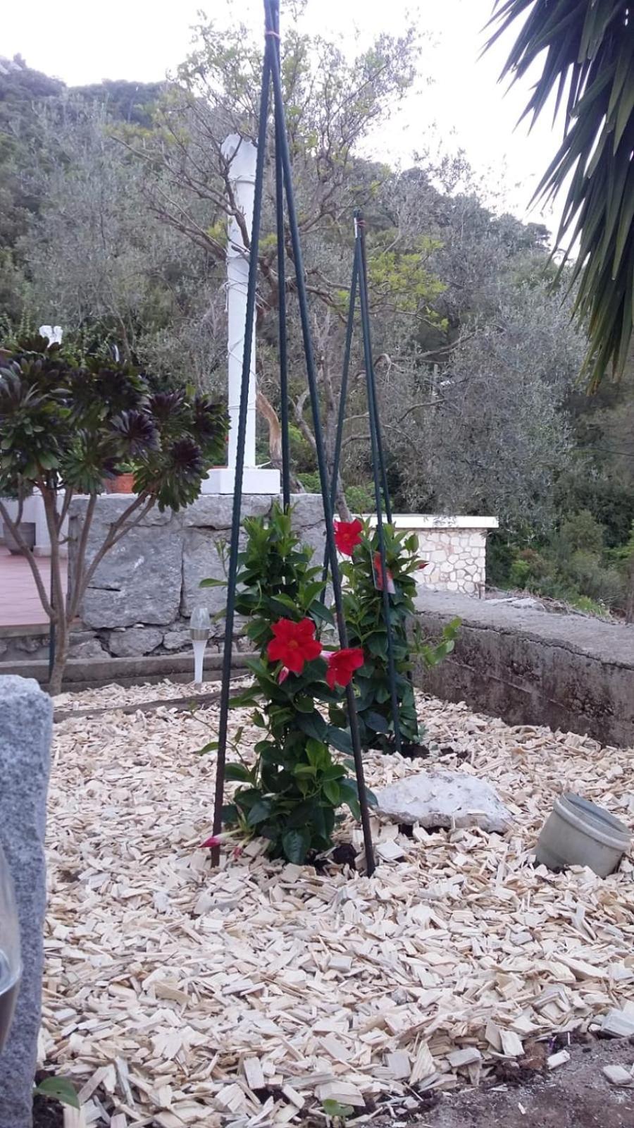 Apartment Nadine Mljet Mit Meerblick Okuklje ภายนอก รูปภาพ