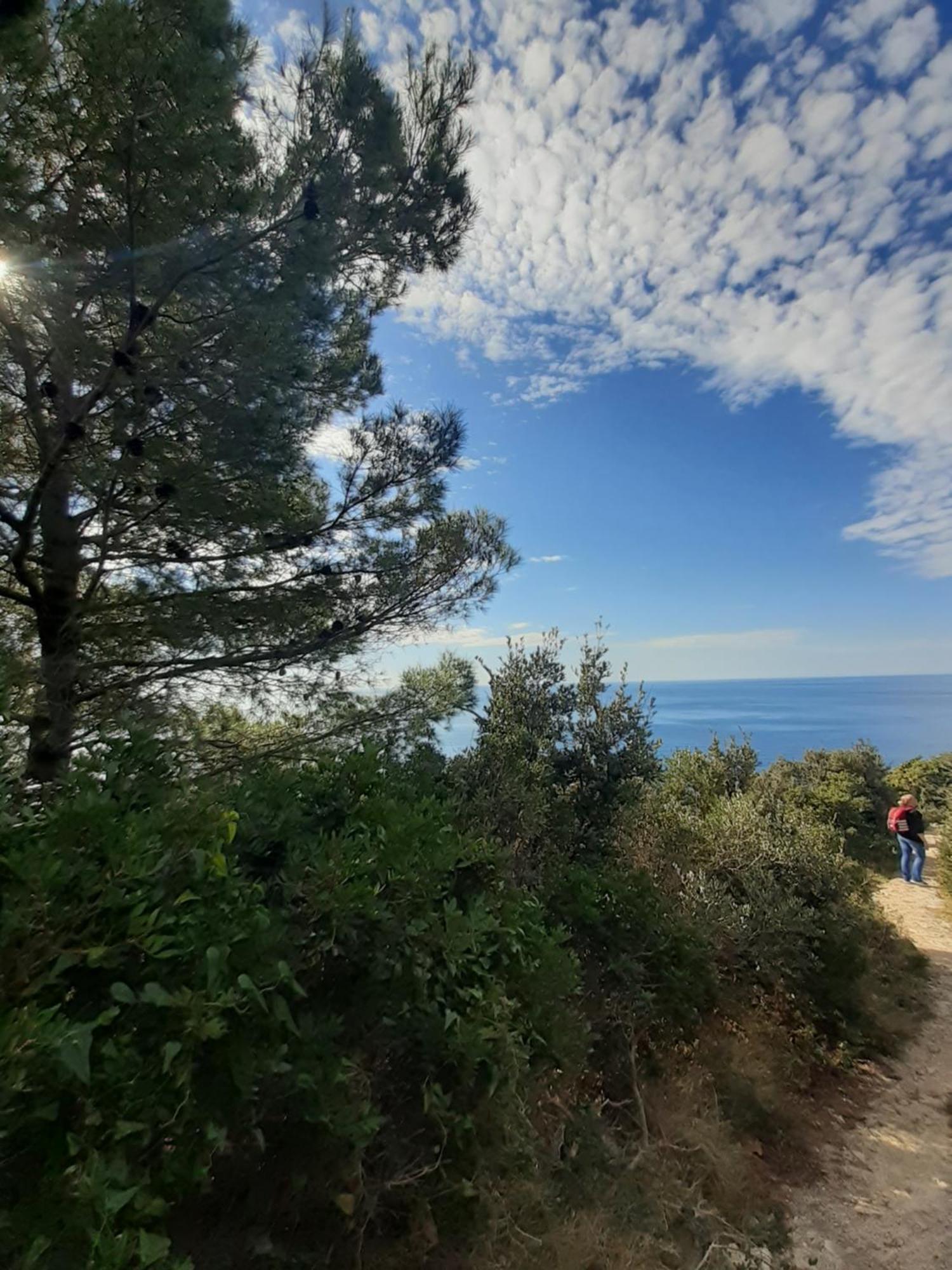 Apartment Nadine Mljet Mit Meerblick Okuklje ห้อง รูปภาพ